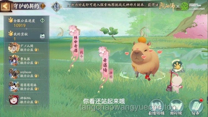 出逃54天：卡皮巴拉“豆包”的奇幻归途